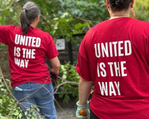 Employees participating in a United Way workplace campaign